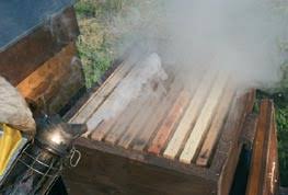 Foto: De bijenkast beroken en openen