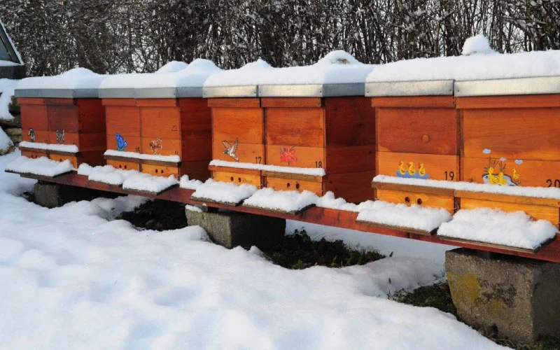 Bijenkast in de sneeuw