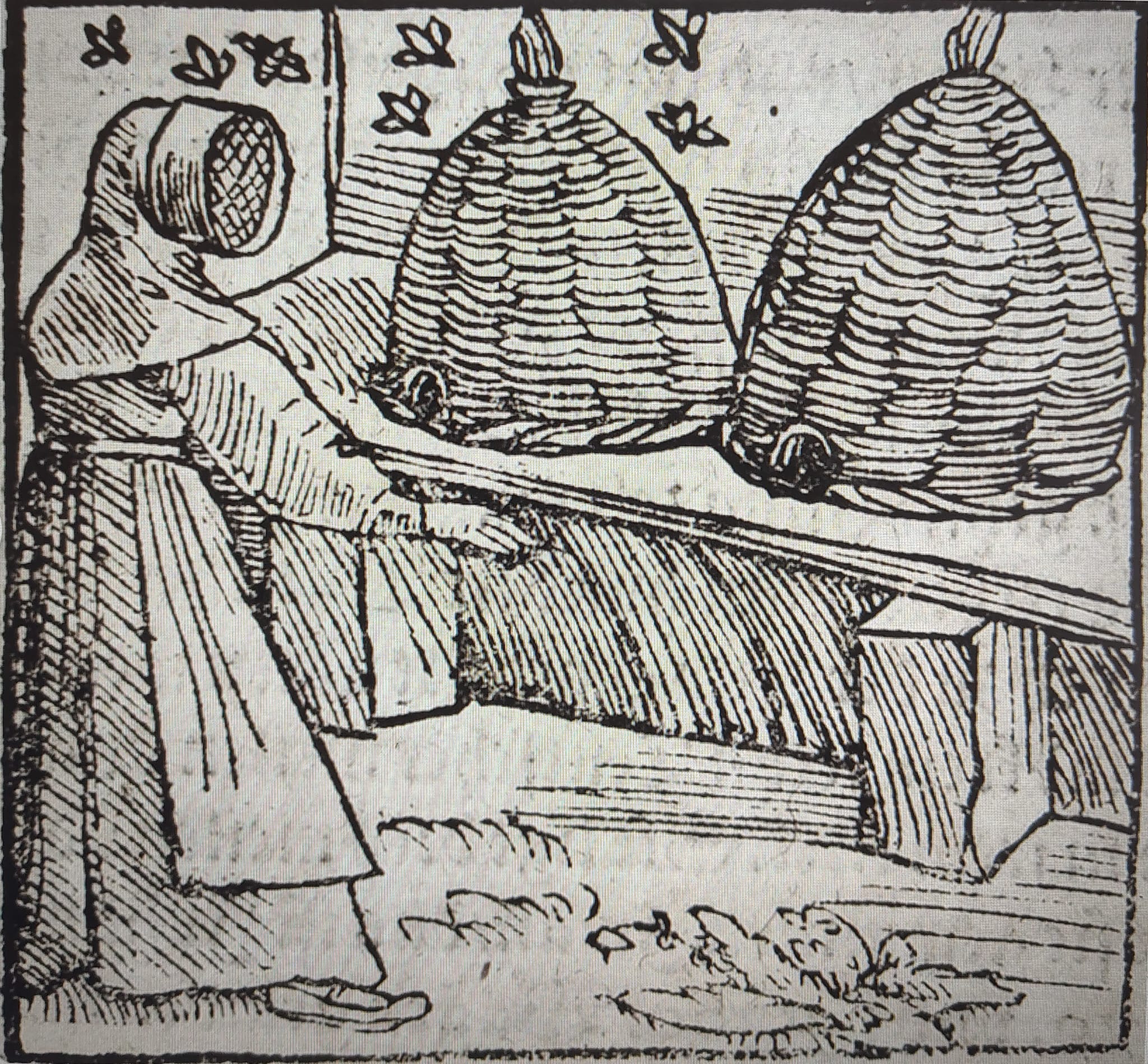 Middeleeuwse monnik