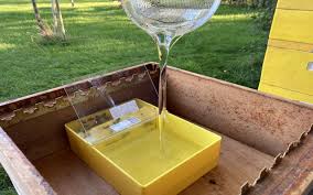 Suikerwater geven